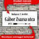 Egyedi utcanév tábla - fém változat